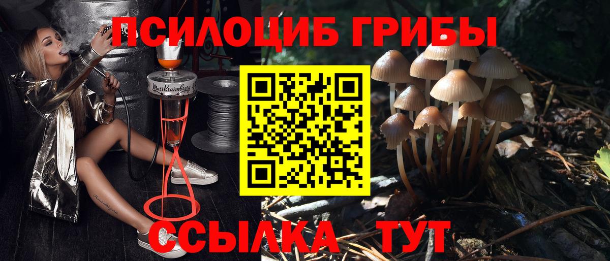 Псилоцибиновые грибы Psilocybe Подольск