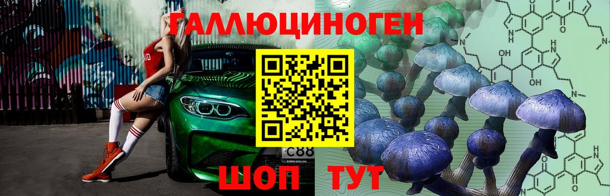 Псилоцибиновые грибы прущие грибы  Псилоцибиновые грибы Psilocybe  Подольск  Вход с VPN 